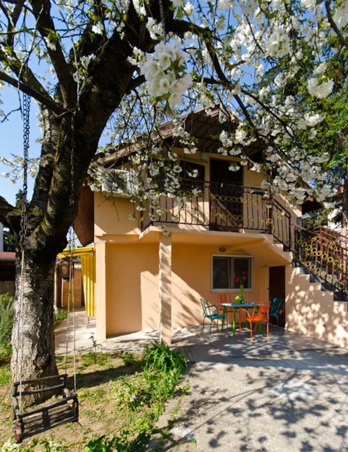 Cherry Tree Art House Beograd Bagian luar foto