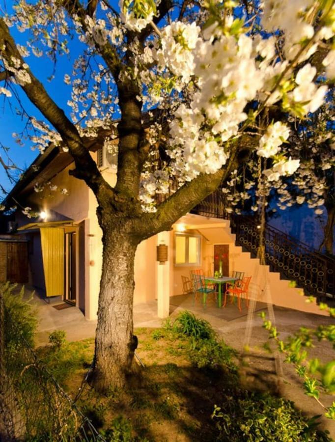 Cherry Tree Art House Beograd Bagian luar foto